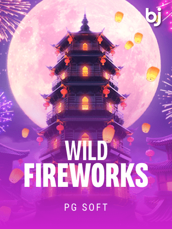 ওয়াইল্ড ফায়ারওয়ার্কস screenshot